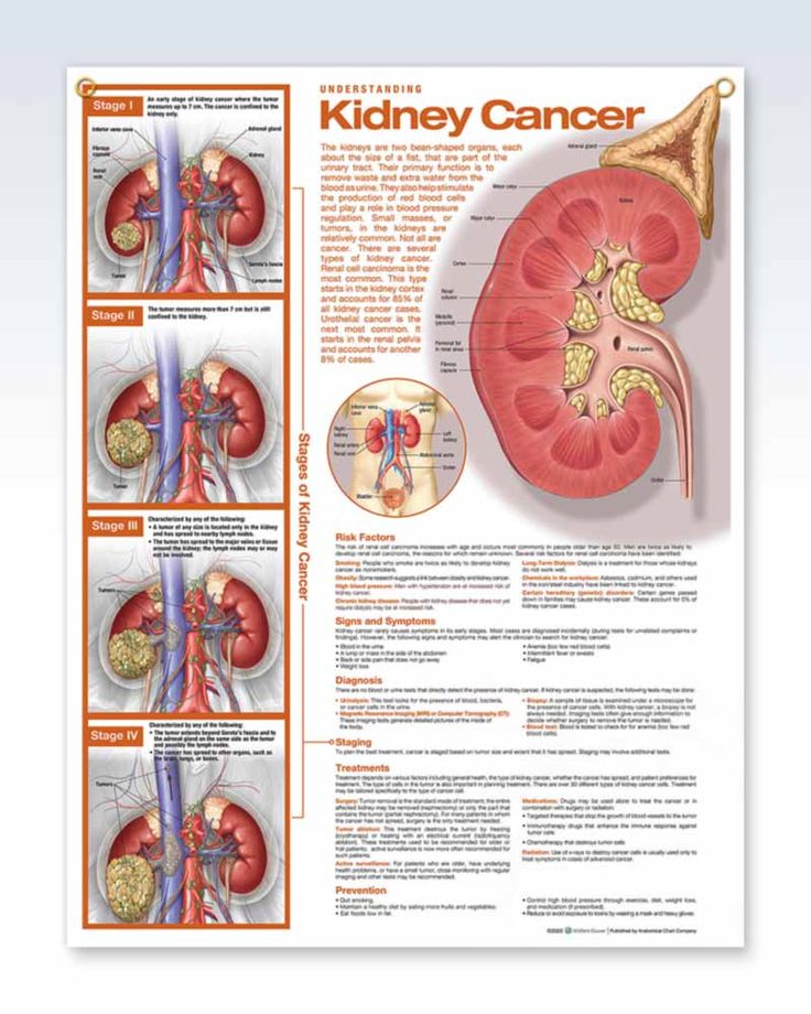 If Your Kidneys Are in Danger, the Body Will Show these 10 Signs