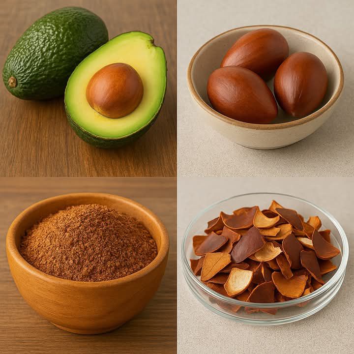 Unveiling the Hidden Potential of Avocado Seed Husks
