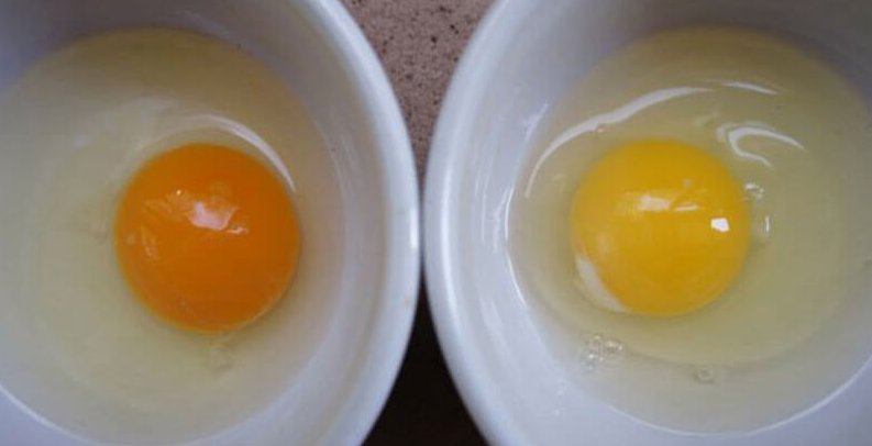 The easy way to tell if your eggs came from a sick chicken